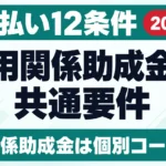 【2026年最新】雇用関係助成金の共通要件｜門前払い12条件